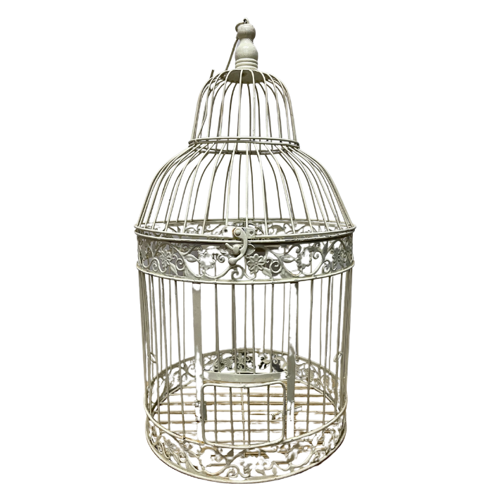 BIRD CAGE WISHING WELL Wagga Event Hire